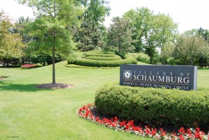 schaumburg illinois hypnosis