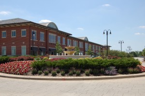 orland park hills hypnosis