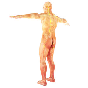 autoimmune disease pain reduction therapy